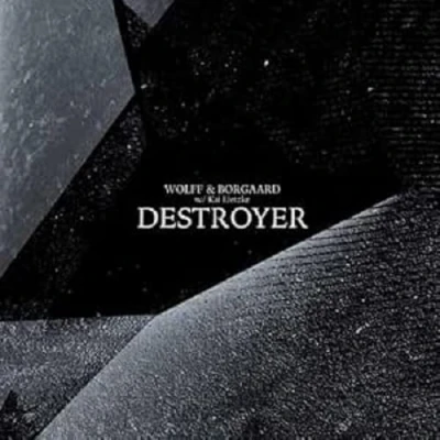 Afbeelding van Wolff &amp; Borgaard Destroyer (LP)