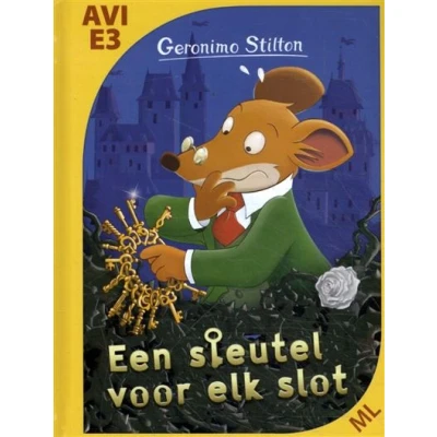 Image de Een sleutel voor elk slot