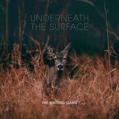Afbeelding van The Waiting Game Underneath Surface (LP)