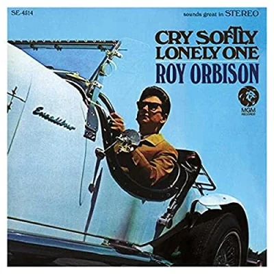Afbeelding van Roy Orbison Cry Softly Lonely One (LP)