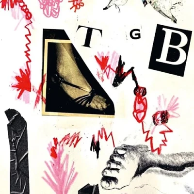 Afbeelding van Teri Gender Bender TGB (LP)