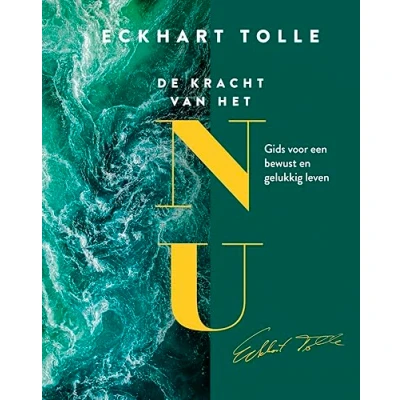 Afbeelding van De kracht van het NU