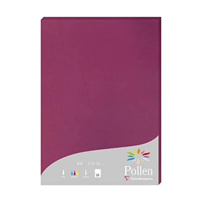 Afbeelding van Clairefontaine 224206C Etui met 25 vellen, formaat A4 (21 x 29,7 cm), 210 g/m², framboos, uitnodigingspapier, correspondentie, pollenserie, premium papier glad