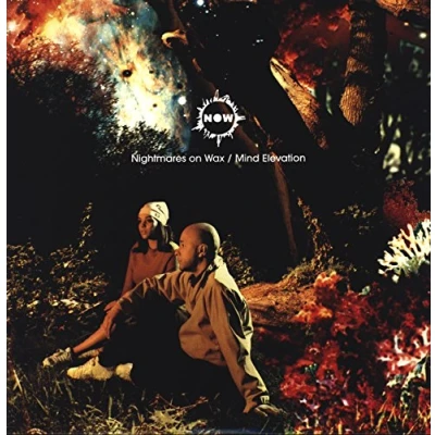 Afbeelding van Nightmares On Wax Mind Elevation