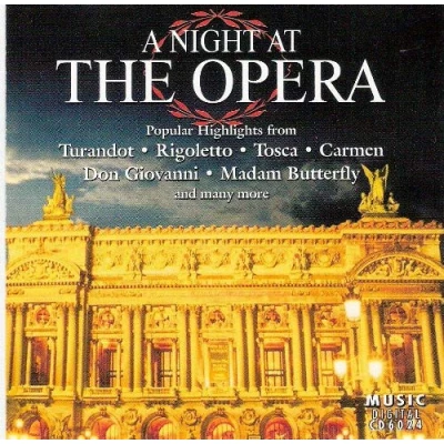Afbeelding van A night at the Opera