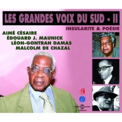 Afbeelding van Various Artists Insularité et poésie (Les grandes voix du sud II) (4 CD)