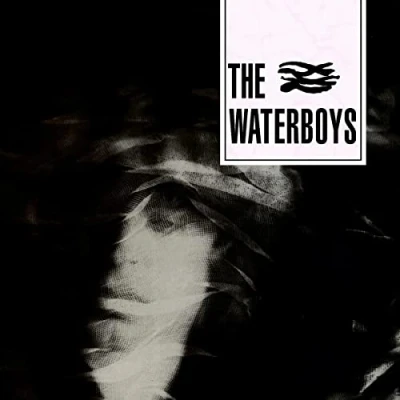 Afbeelding van Waterboys (LP)
