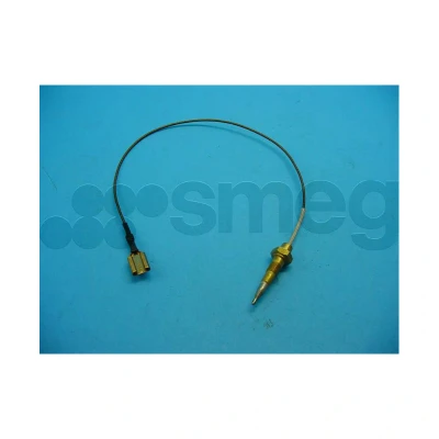 Image de Interrupteur thermique Smeg 948650091 thermo omvormer mm.650