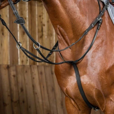 Afbeelding van Dyon Martingaal WC Zwart