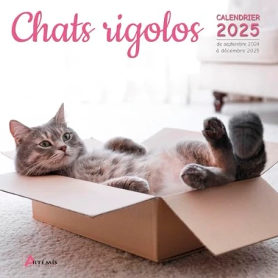 Afbeelding van CHATS RIGOLOS CALENDRIER