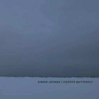 Afbeelding van Simon Joyner Coyote Butterfly (CD)