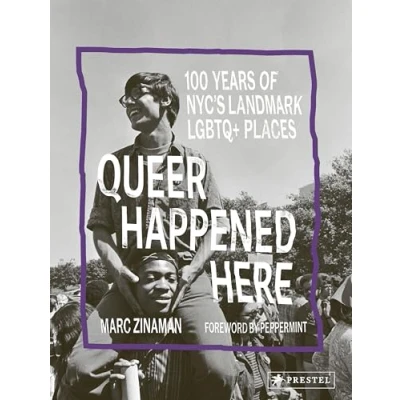 Afbeelding van Queer Happened Here
