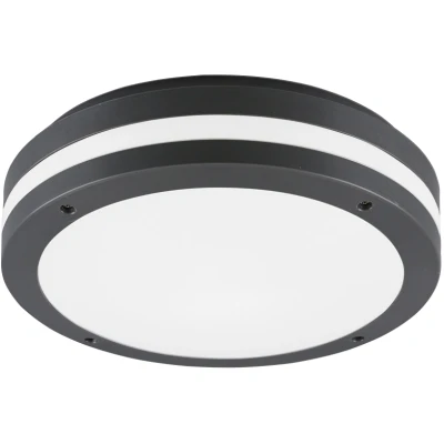 Afbeelding van REALITY KENDAL Plafondlamp Antraciet incl. 1x SMD 11W Buitenverlichting IP54
