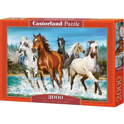 Afbeelding van Castorland Legpuzzel Call Of Nature 2000 Stukjes
