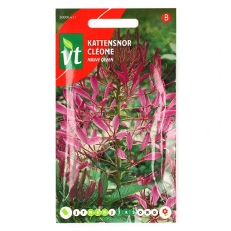 Afbeelding van Kattensnor &#039;Mauve Queen&#039; Zaden Prachtige Paarse Bloemen voor Border en Bloembedden