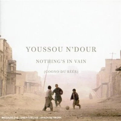 Afbeelding van N Dour, Youssou Nothing&#039;s In Vain French (CD)