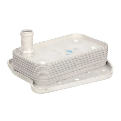 Afbeelding van THERMOTEC D4M004TT Oliekoeler MERCEDES BENZ: Viano, C Class T modell, Saloon