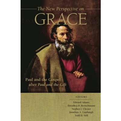 Afbeelding van The New Perspective on Grace