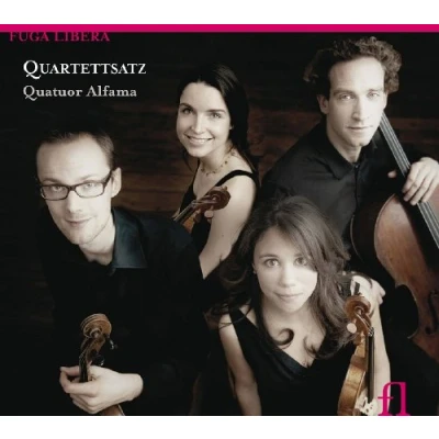 Afbeelding van Quatuor Alfama Quartettsatz (CD)
