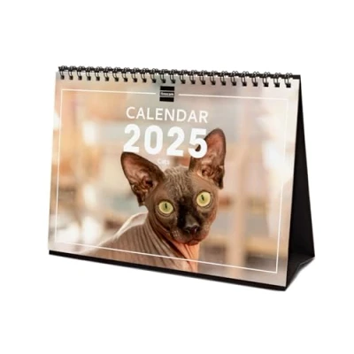 Image de Finocam Calendrier Images de Bureau International 2025 1 mois par page Janvier Décembre (12 mois) Cats