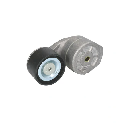Afbeelding van DAYCO APV2729 Riemspanner