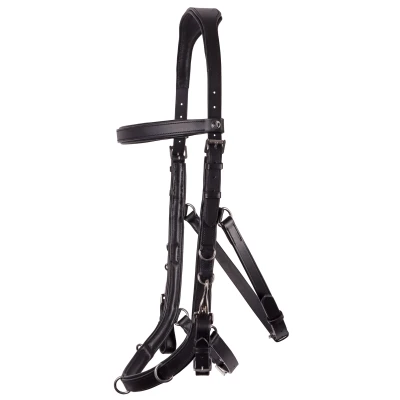 Image de Harry&#039;s Horse Bride Leder Anatomic Noir Cob
