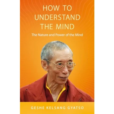 Afbeelding van How to Understand the Mind