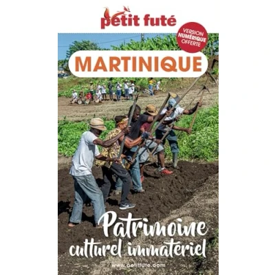 Afbeelding van Patrimoine culturel immateriel de la martinique