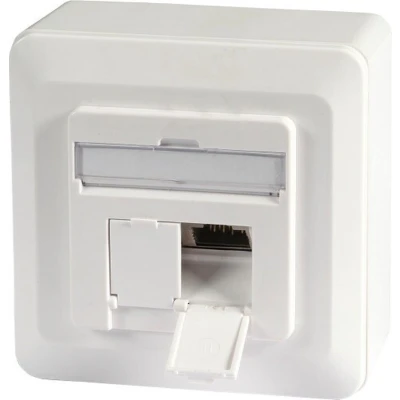 Afbeelding van RJ45 wandcontactdoos FTP (2 x RJ45, Cat6a, Verticaal, Opbouw)