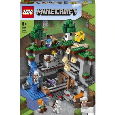 Afbeelding van LEGO Minecraft Het Allereerste Avontuur 21169