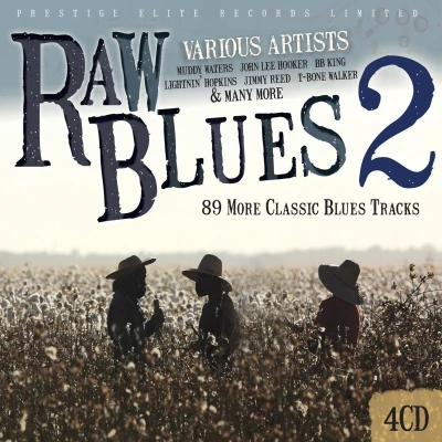Afbeelding van Various Artists Raw Blues II (CD)