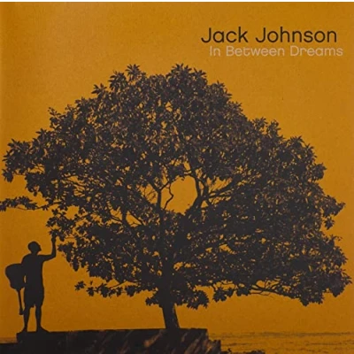 Afbeelding van Jack Johnson In Between Dreams (LP)