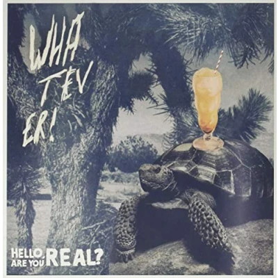 Afbeelding van Whatever Hello, Are You Real? (2 LP)