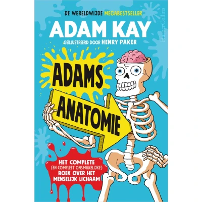 Afbeelding van Adams anatomie
