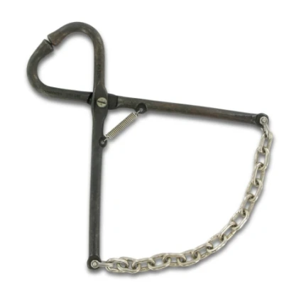 Afbeelding van Neusklem koe met ketting