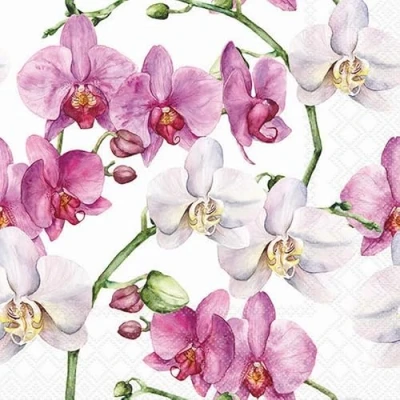 Afbeelding van Elegant orchids white