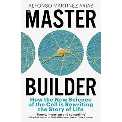 Afbeelding van The Master Builder