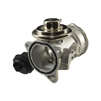 Afbeelding van Hella EGR klep 6NU 010 171 641