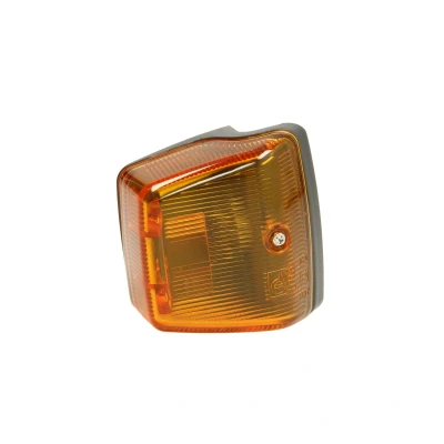 Afbeelding van DT Spare Parts 4.68156 Knipperlichten MERCEDES BENZ: ATEGO 2,