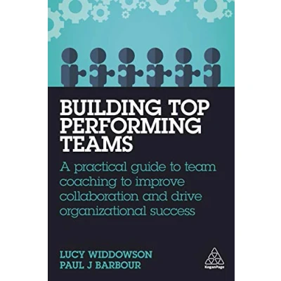 Afbeelding van Building Top Performing Teams
