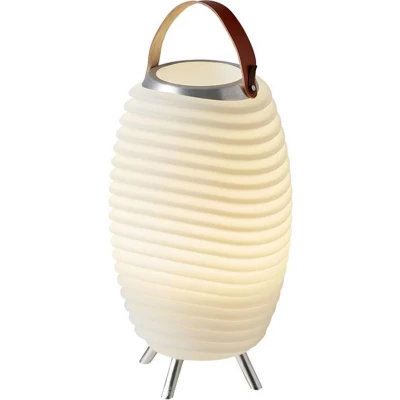 Afbeelding van Lamp Kooduu Synergy 35 S Bluetooth Speaker LED Wijnkoeler