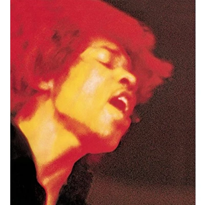 Afbeelding van Electric Ladyland