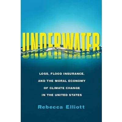 Afbeelding van Underwater Loss, Flood Insurance, and the Moral Economy of Climate Change in United States