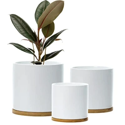 Afbeelding van Set van 3 keramische bloempotten met onderzetter bamboe, witte voor buiten, groot, medium, klein schoteltjes (wit)
