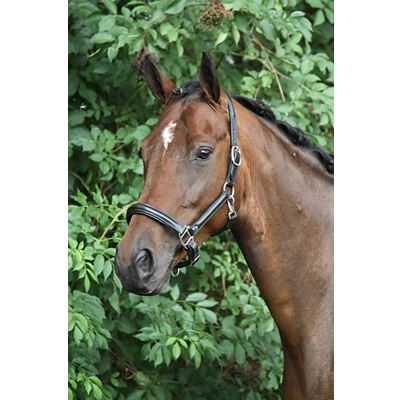 Afbeelding van Horka Halster Leer Zwart zilver pony