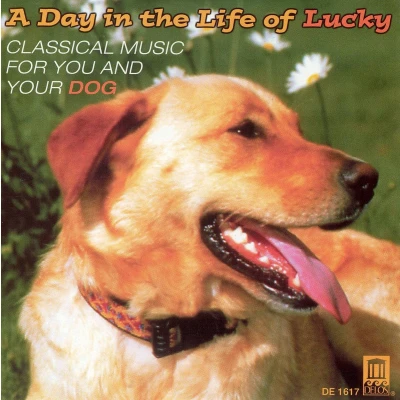 Afbeelding van A Day in the Life of Lucky Music for You and Your Dog