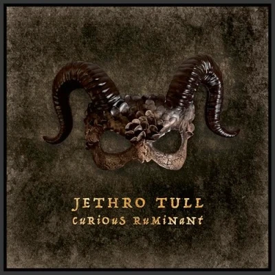 Afbeelding van Jethro Tull Curious Ruminant (CD)