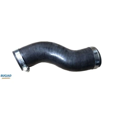 Afbeelding van Laadluchtslang BUGIAD 82255