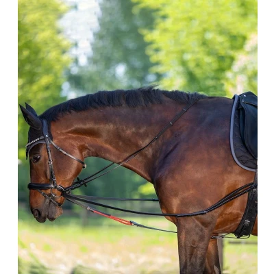 Afbeelding van Waldhausen Driehoeksteugel W TrainRein Pony