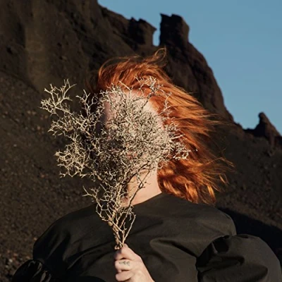 Afbeelding van Goldfrapp Silver Eye (CD)
